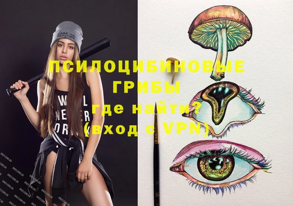 apvp Медногорск