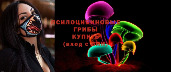 apvp Медногорск