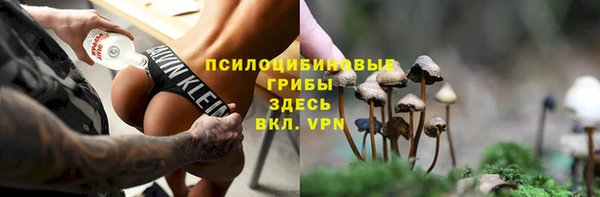 apvp Медногорск