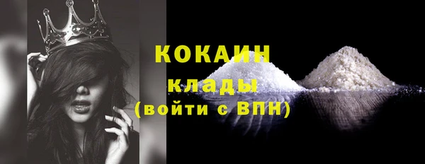 дживик Мегион