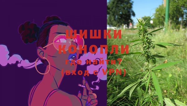 дживик Мегион