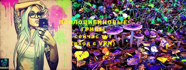 дживик Мегион
