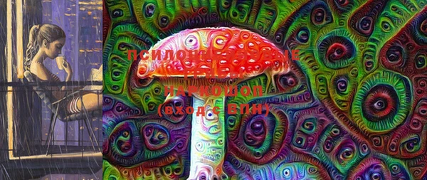 2c-b Медвежьегорск