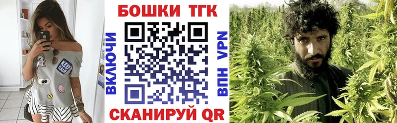Купить  Стародуб  Бошки Шишки тримм 